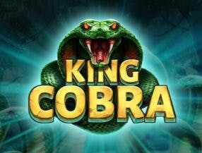 video slot online