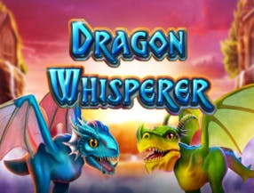 como jogar na quina valor da aposta
